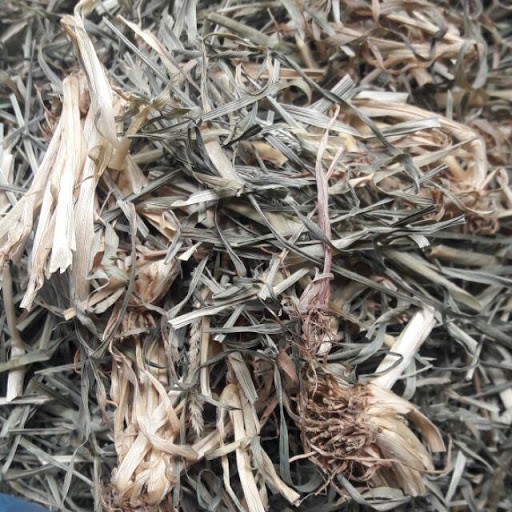 Cỏ mần trầu khô JINDO 1kg