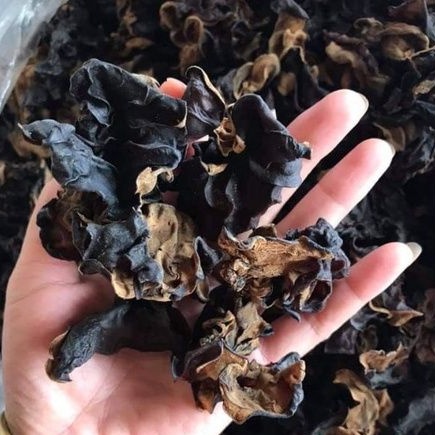 MỘC NHĨ RỪNG TÂY BẮC  500G