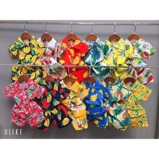 Set 4b ngẫu nhiên 200k