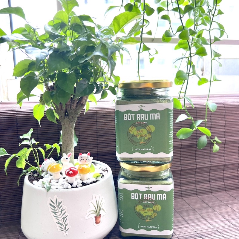 Bột rau má sấy lạnh nguyên chất