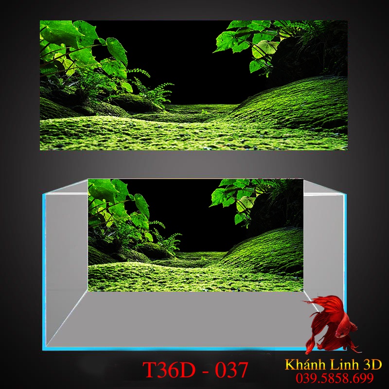 Tranh 3D dán bể cá, tặng kèm đồ dán siêu nét, đa dạng kích thước bể thuỷ sinh