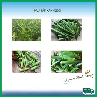 Hạt giống đậu bắp xanh mau lớn dễ trồng - 20g