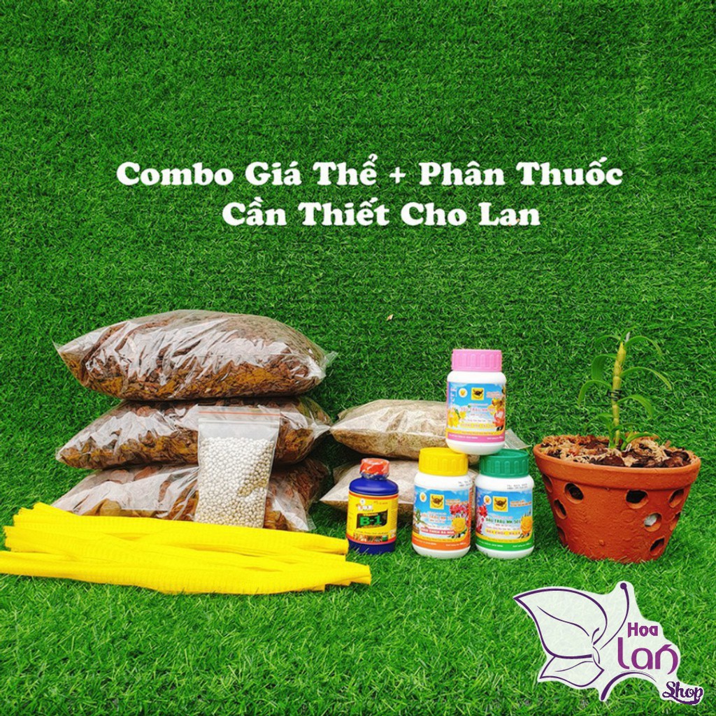Phân Chì Nhật ⚜️FREESHIP⚜️ Phân Bón Tạn Chậm 13-11-11 - Bổ Xung Vi Lượng  Túi 200g