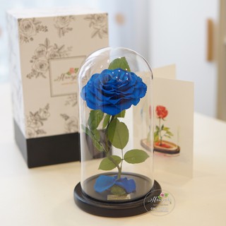 Hoa hồng bất tử Furu