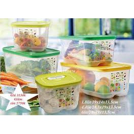 Venmart  hộp Tupperware