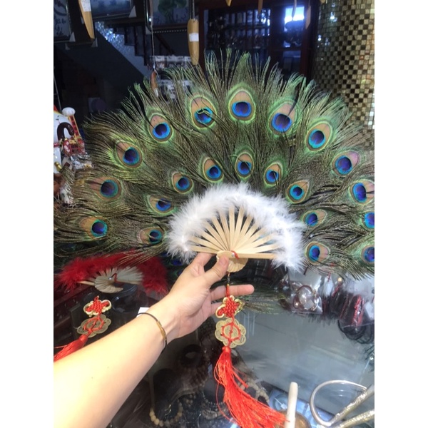 Quạt lông công 21 mắt to , đẹp .