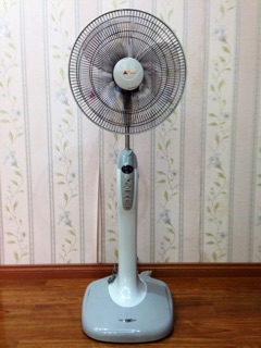 Quạt cây Tico HK-TC66