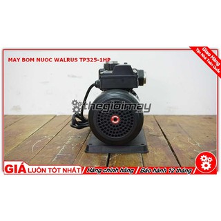 Máy bơm nước bánh răng đẩy cao Walrus TP325