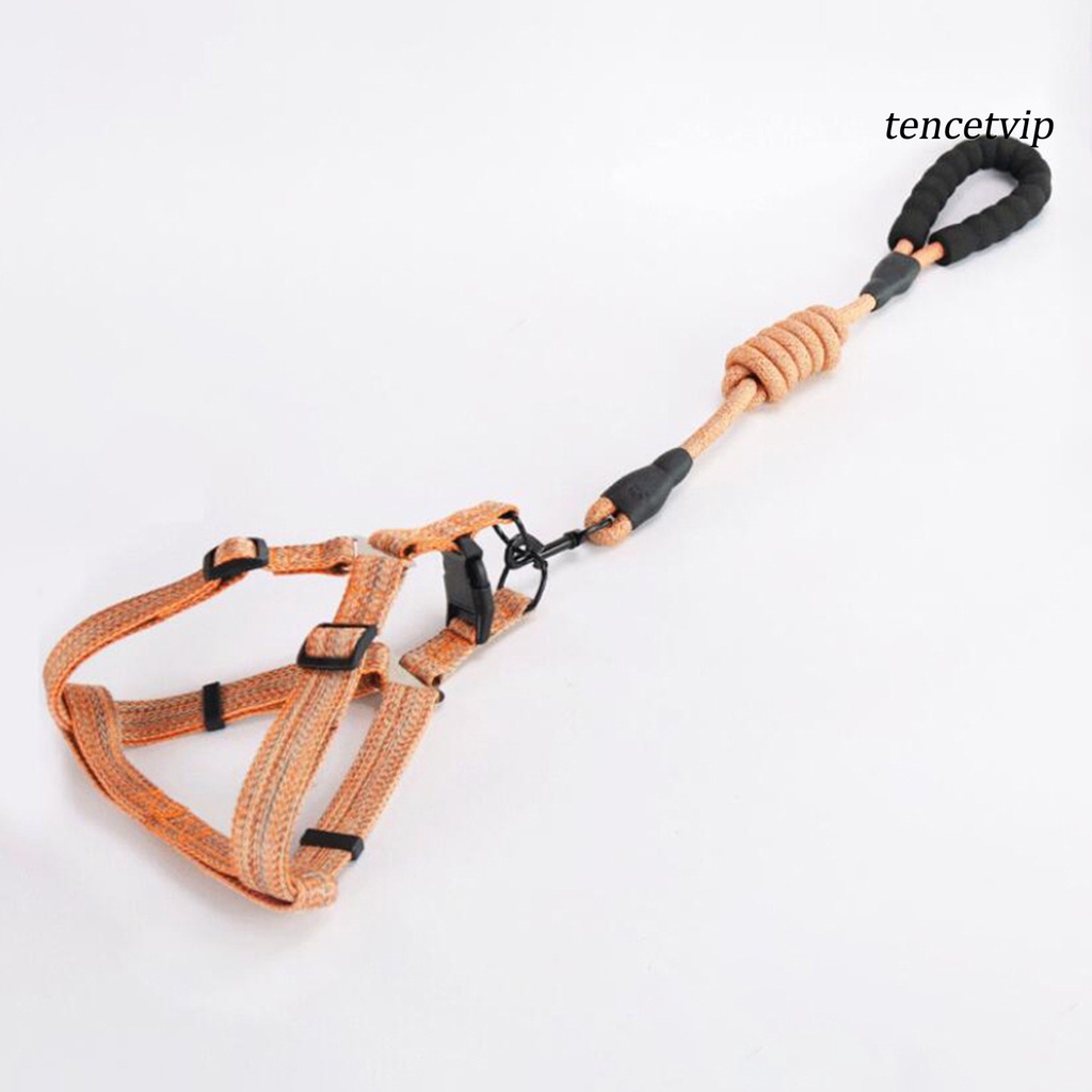 Dây Dắt Thú Cưng Đi Dạo 120cm Bằng Polyester Thoải Mái