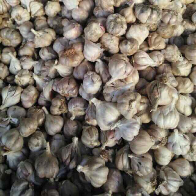 Tỏi ta khô Kinh Môn Hải Dương thơm ngon