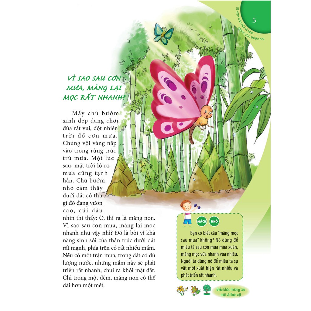Sách - 10 Vạn Câu Hỏi Vì Sao - Cây Cỏ, Lá Và Hoa (Tái Bản)