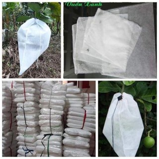 Túi bọc bưởi com bo 50 túi kt 25x30cm và16x20