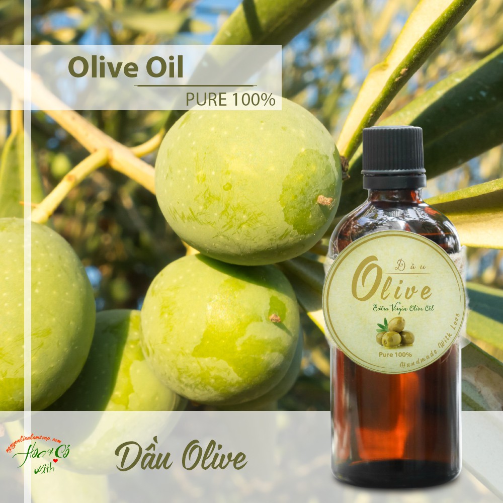 DẦU OLIVE (EXTRA VIRGIN OLIVE OIL)