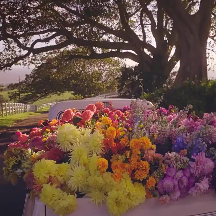 Nước hoa nữ miss dior mẫu thử 10ml nữ tính, dịu dàng ,trang nhã- Phoenix Authentic | BigBuy360 - bigbuy360.vn