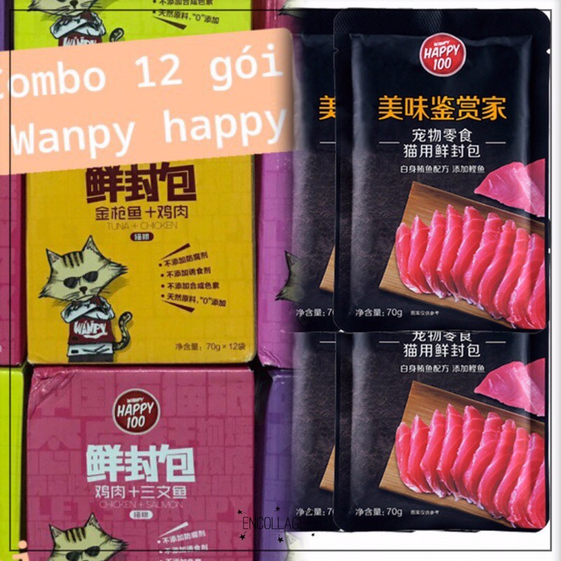 Hộp 12 gói pate cho mèo Wanpy happy 100