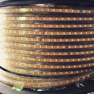 [NK] 10m Led cuốn cây trang trí các màu 220v mã 3014