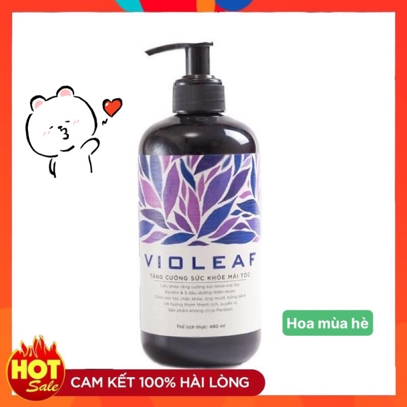 DẦU XẢ VIOLEAF HÀNG CHÍNH HÃNG CÔNG TY SAO THÁI DƯƠNG chai 480ml