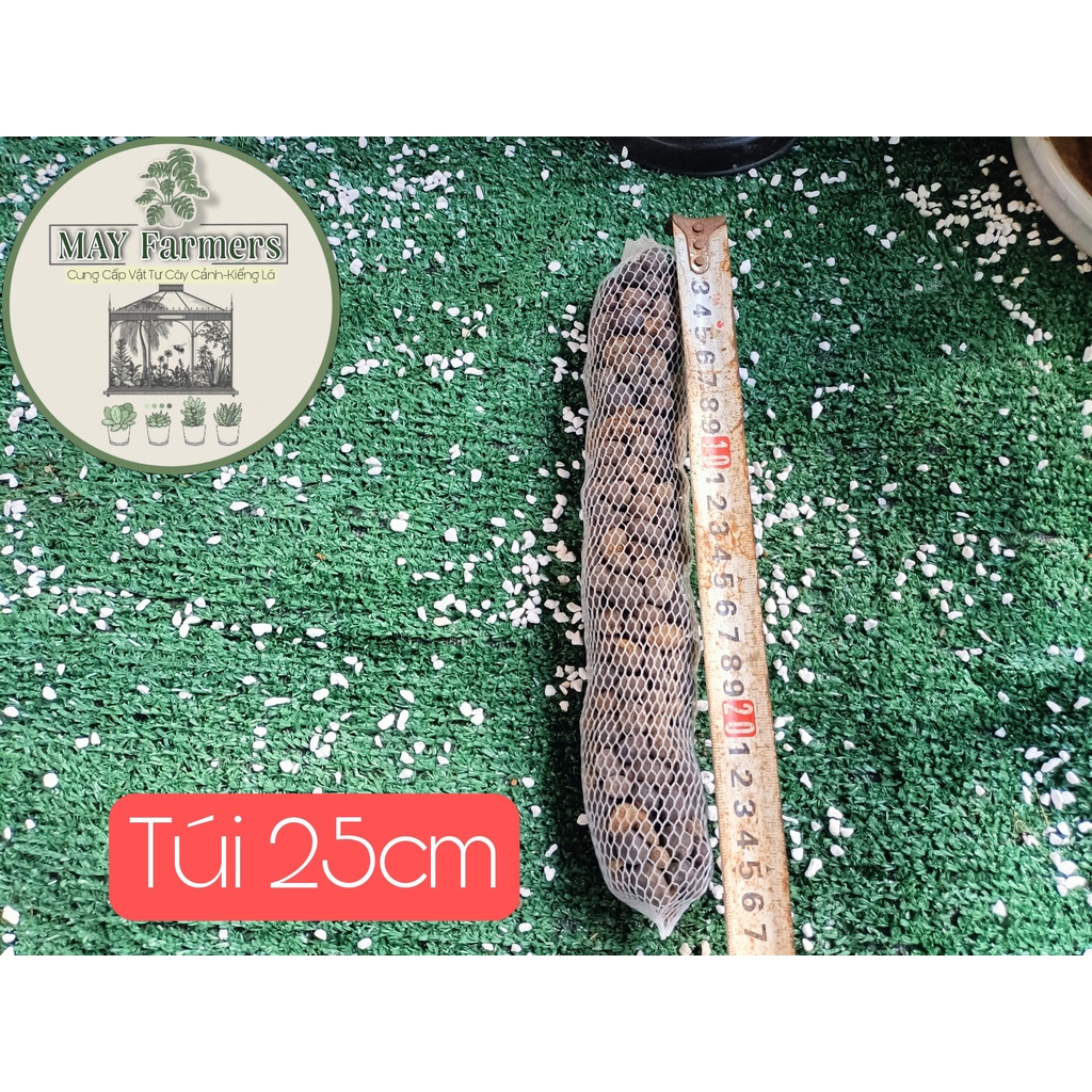 ☘️ Phân Dê Túi Lưới 12cm - Bón Cho Hoa Lan  Cây Cảnh