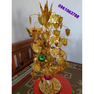 Cây rẻ quạt, cành vàng lá ngọc trang trí tuyệt đẹp - lá ngọc cành vàng