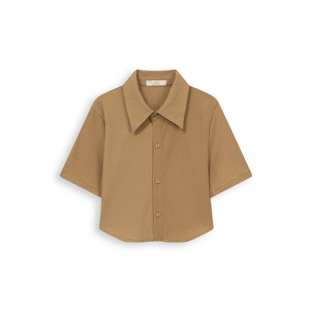 Áo thun nữ Méo shop form ôm cổ sơ mi tay ngắn croptop Navi