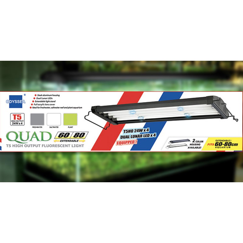 Đèn ODYSSEA 4 Bóng Pro T5HO 60/80 - 90/110  | Đèn Odysea Cho Hồ Thủy Sinh, Hồ Cá Rồng, Hồ Cá Vàng