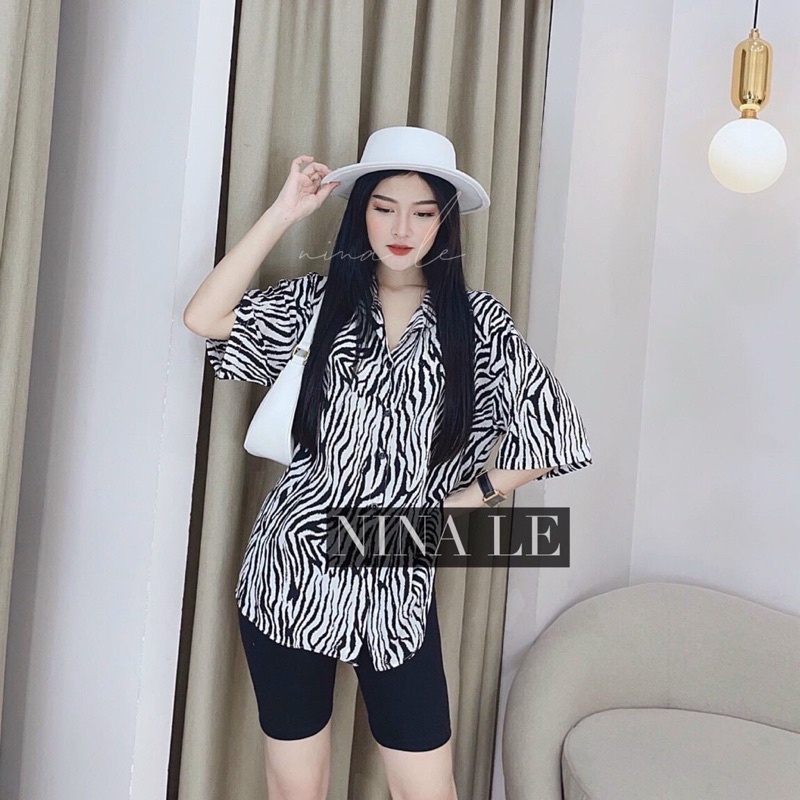 set ngựa vằn