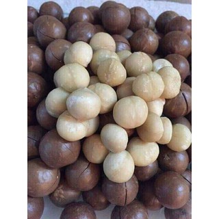 Macca mỹ