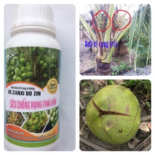 Phân bón lá siêu chống rụng và nứt trái dừa chuyên dùng tất cả giống dừa đang trồng chai 500ml