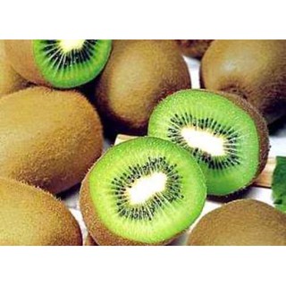 30 Hạt giống cây ăn trái kiwi (Kèm kích thích hạt nảy mầm)
