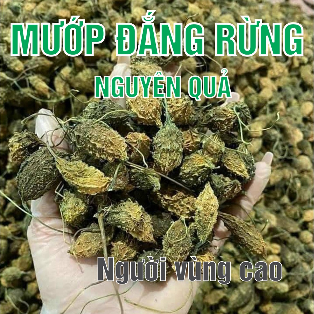 KHỔ QUA RỪNG [MƯỚP ĐẮNG RỪNG] 0,5 - 1KG HÀNG KHÔ NGUYÊN QUẢ - CAM KẾT HÀNG CHUẨN CHẤT LƯỢNG