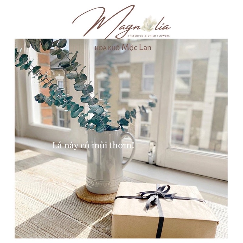 Hoa khô lá khuynh diệp khô Eucalyptus ❤️FREESHIP❤️ Hoa giả trang trí để bàn, kệ sách, decor vintage