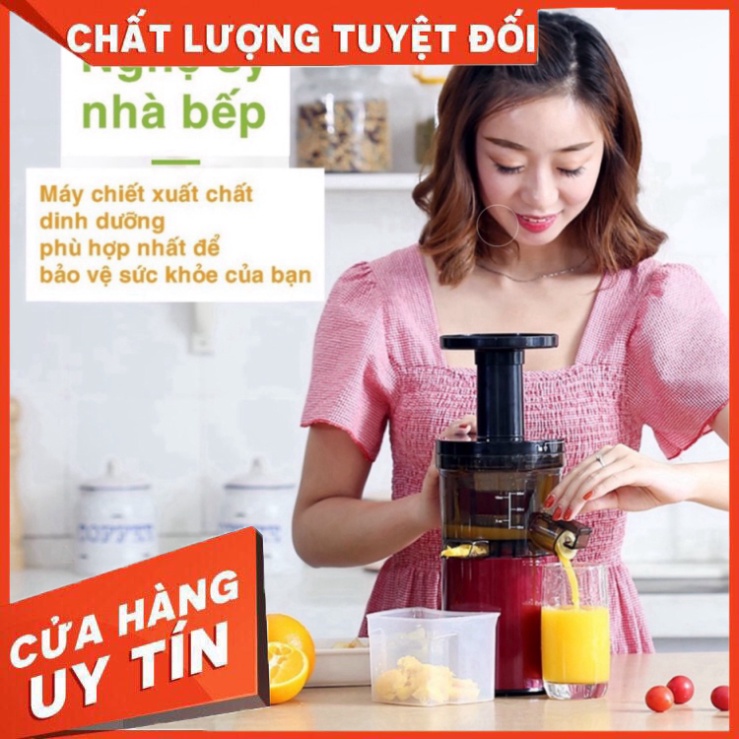 Máy ép trái cây tốc độ chậm SAVTM (Bảo hành 6 tháng động cơ) phonquang1459