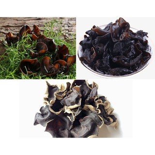 100G Mộc Nhĩ Cao Bằng,Cánh To