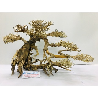 Cây Gỗ Lũa Bonsai Thủy Sinh Cho Hồ Cá Cảnh Size Trung 30x25 BS09