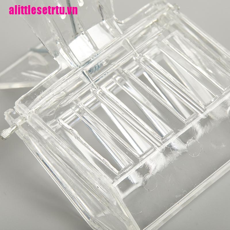Set 5 Kẹp Giữ Lồng Nuôi Ong Chúa Tiện Dụng