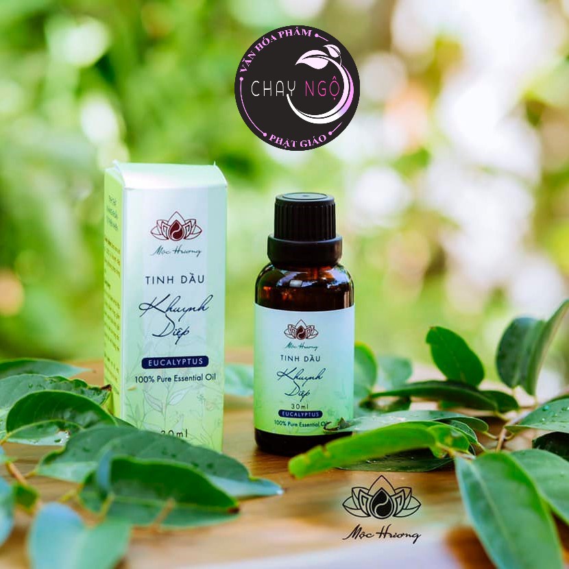 Tinh dầu Mộc Hương 30ML Hương Khuynh Diệp - Tinh chất kháng khuẩn 100% từ thiên nhiên