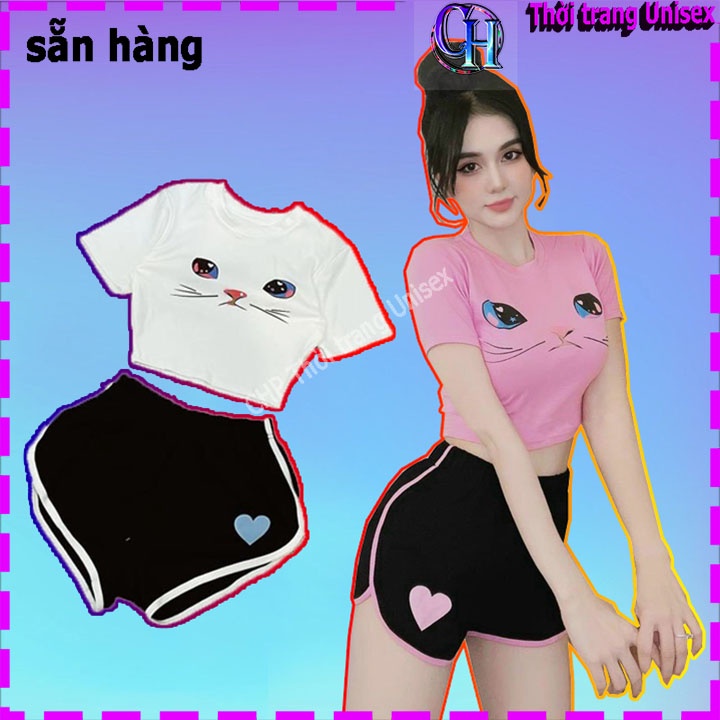 Đồ bộ nữ Tiểu Thư tập Gym 💥 CÓ SẴN 💥 Sét áo in hình mặt mèo phối quần đùi viền trái tim cực xinh , chất thun bozip đẹp