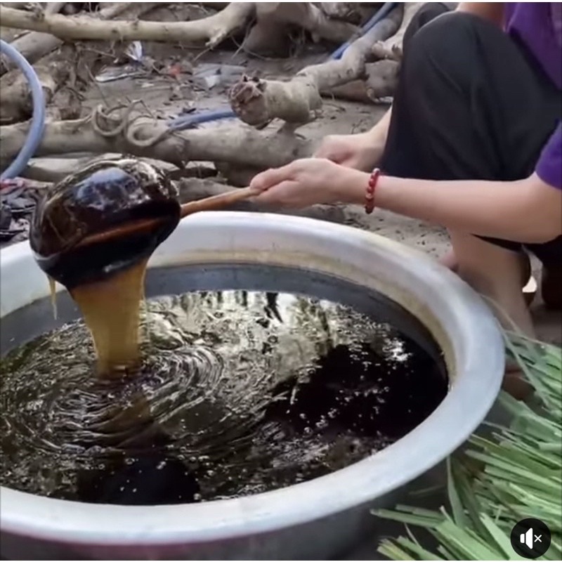 Gáo dừa to múc nước, dùng trong spa