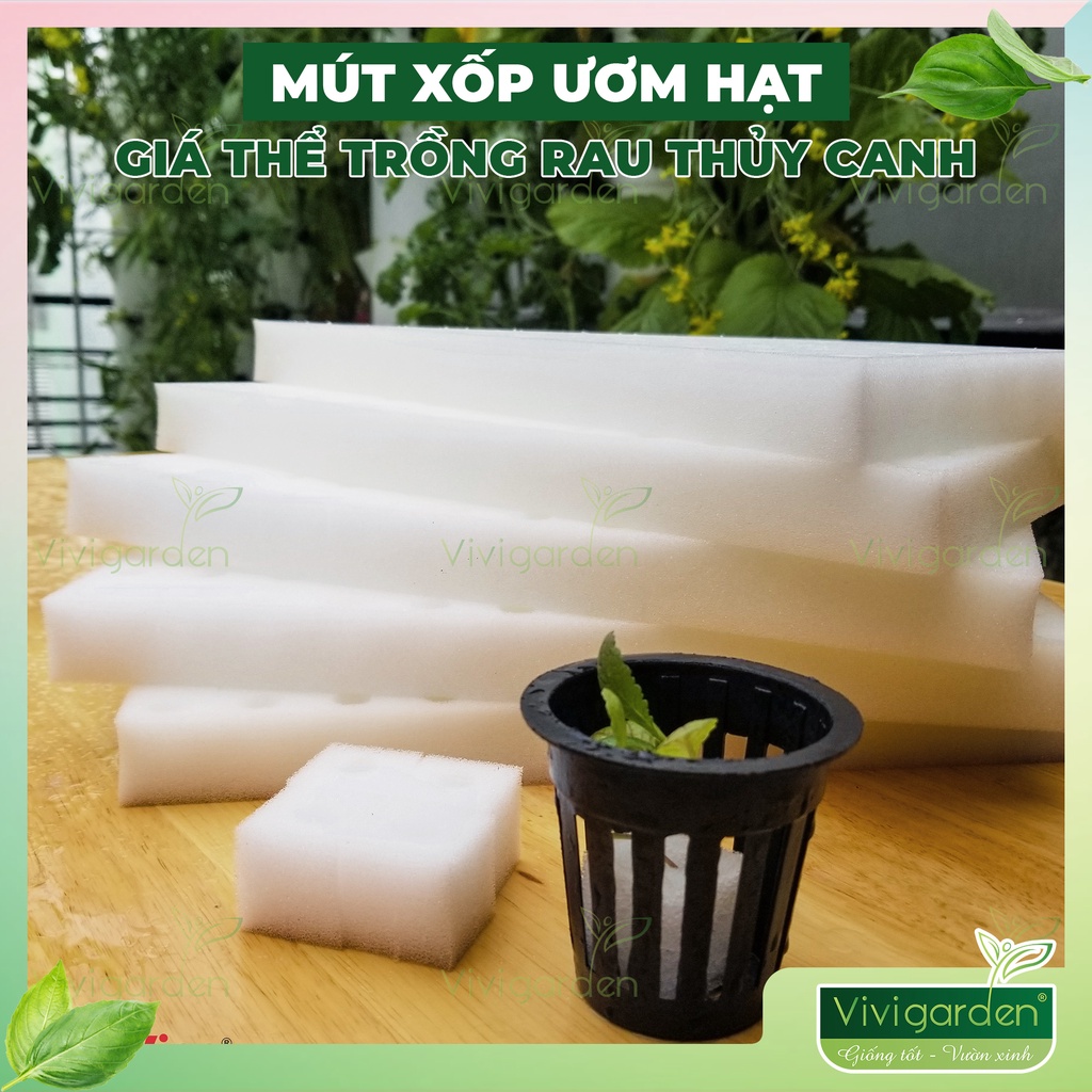 Combo 5 tấm mút xốp (bọt biển) trồng rau thủy canh chuẩn Nhật 480 miếng 25x25x25mm