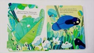 Sách Lật mở Peep Inside The Jungle Usborne