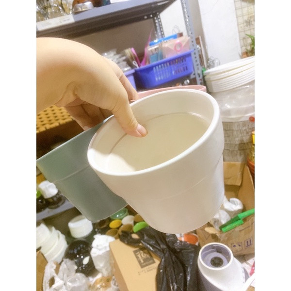 Chậu sứ trồng cây màu pastel