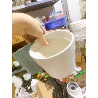 Chậu sứ trồng cây màu pastel