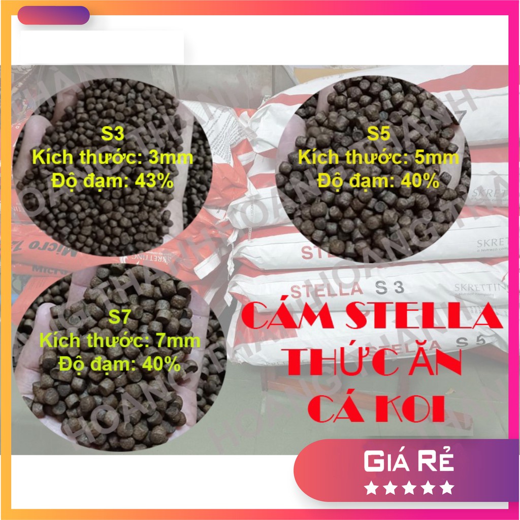Cám Cá Chép KOI STELLA S2|S3|S5|S7-42% Đạm-Viên Nổi-Thức Ăn Cá STELLA Cho cá chép,koi,cá lóc