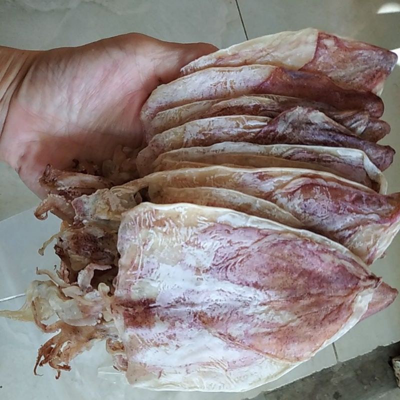 [Hình thật] Combo 9-10 con khô mực câu Sông Đốc ~200g dày ngọt trắng hồng, vừa ăn | BigBuy360 - bigbuy360.vn
