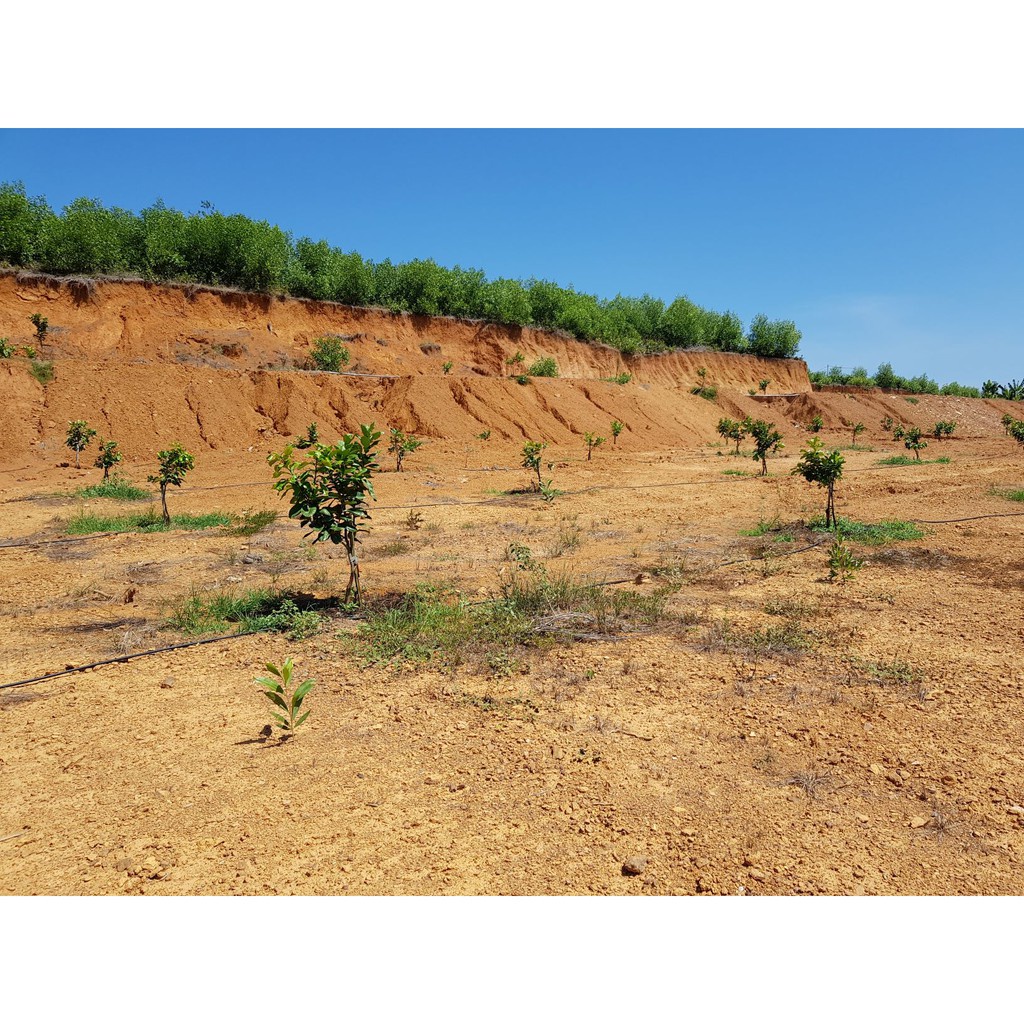 Dây ống HDPE 25mm và 32mm