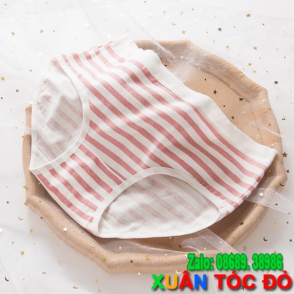SỈ ZALO RẺ HƠN NHIỀU_ Quần Lót 5 Kiểu Dâu Tây Hồng Mới 5048 | BigBuy360 - bigbuy360.vn