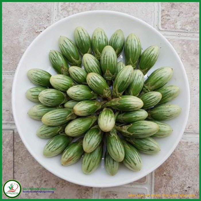 Hạt giống Cà giọt nước TN 11