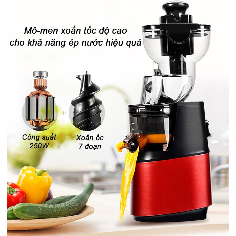 Máy Ép Chậm Giàu Vitamin SAVTM JE-31 | BigBuy360 - bigbuy360.vn