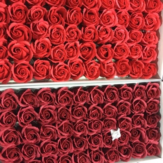 Combo 500 hoa hồng sáp