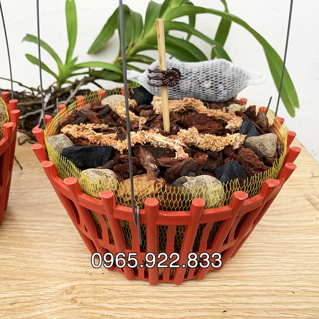 [Mã Life1511A Giảm 10% Đơn 50K] Combo Chậu 20Cm + Giá Thể Trồng Lan Đầy Đủ